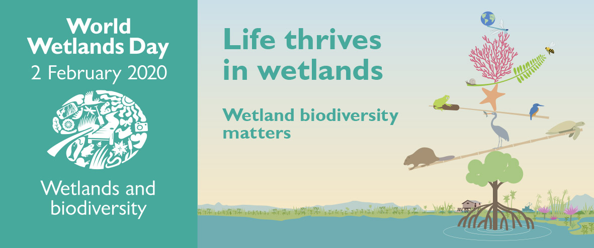 World Wetlands Day 2020 Event Details – The Society for the ...